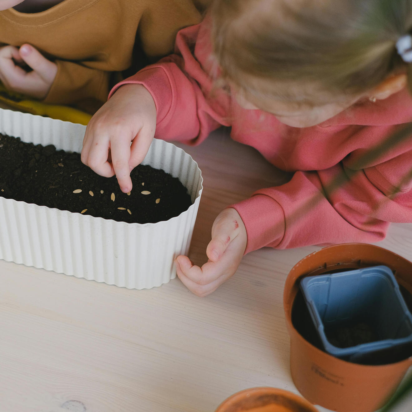 Roots and Wings Learning Roots and Wings Learning